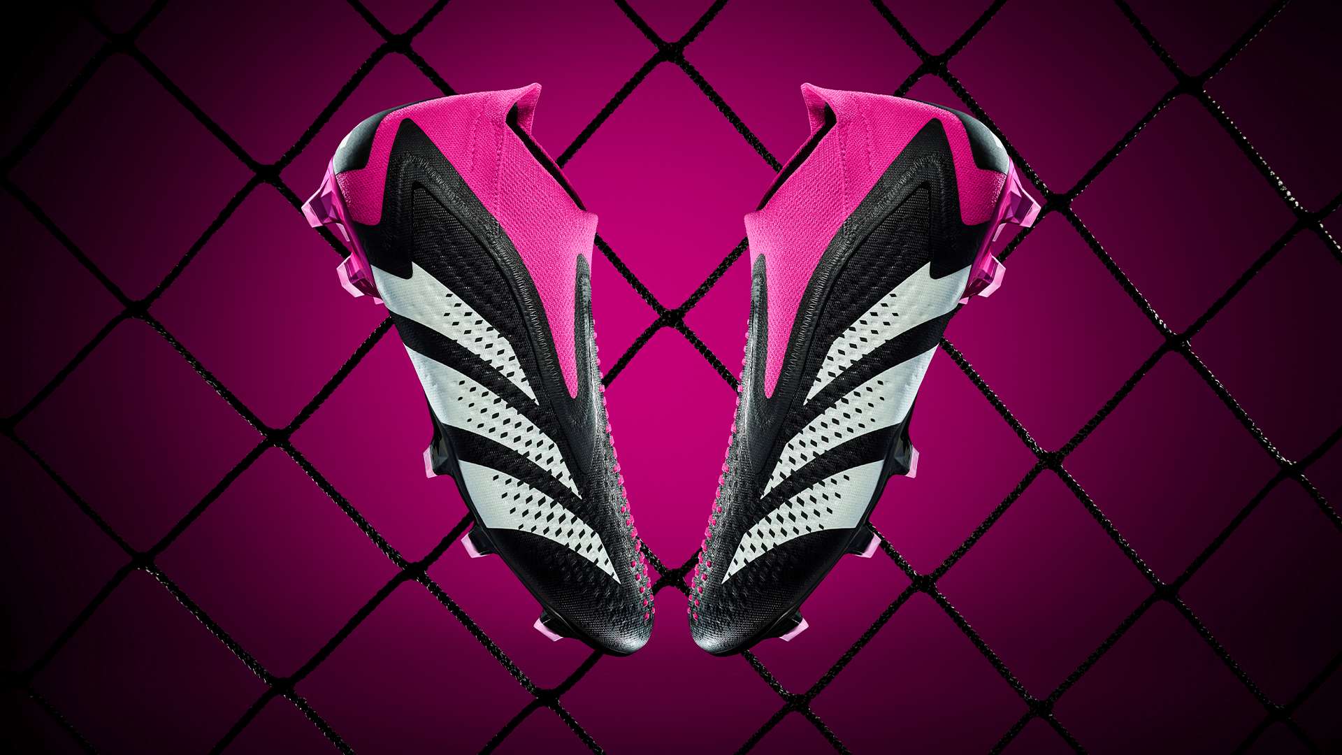 完成将大大 完成将大大