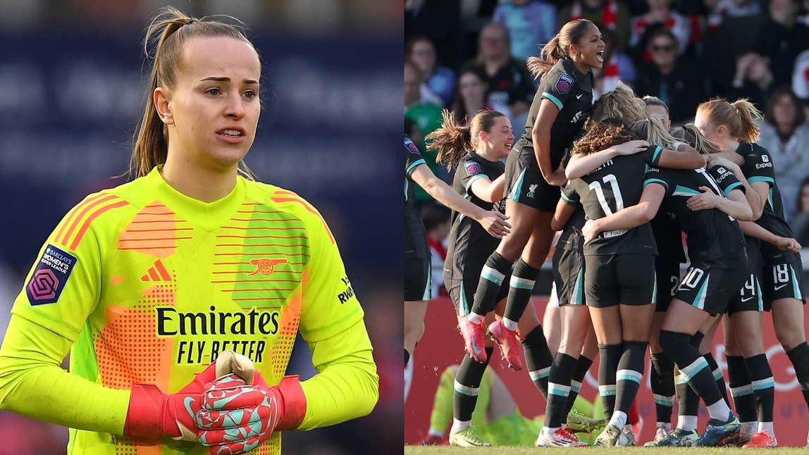 性和適應新 性和適應新