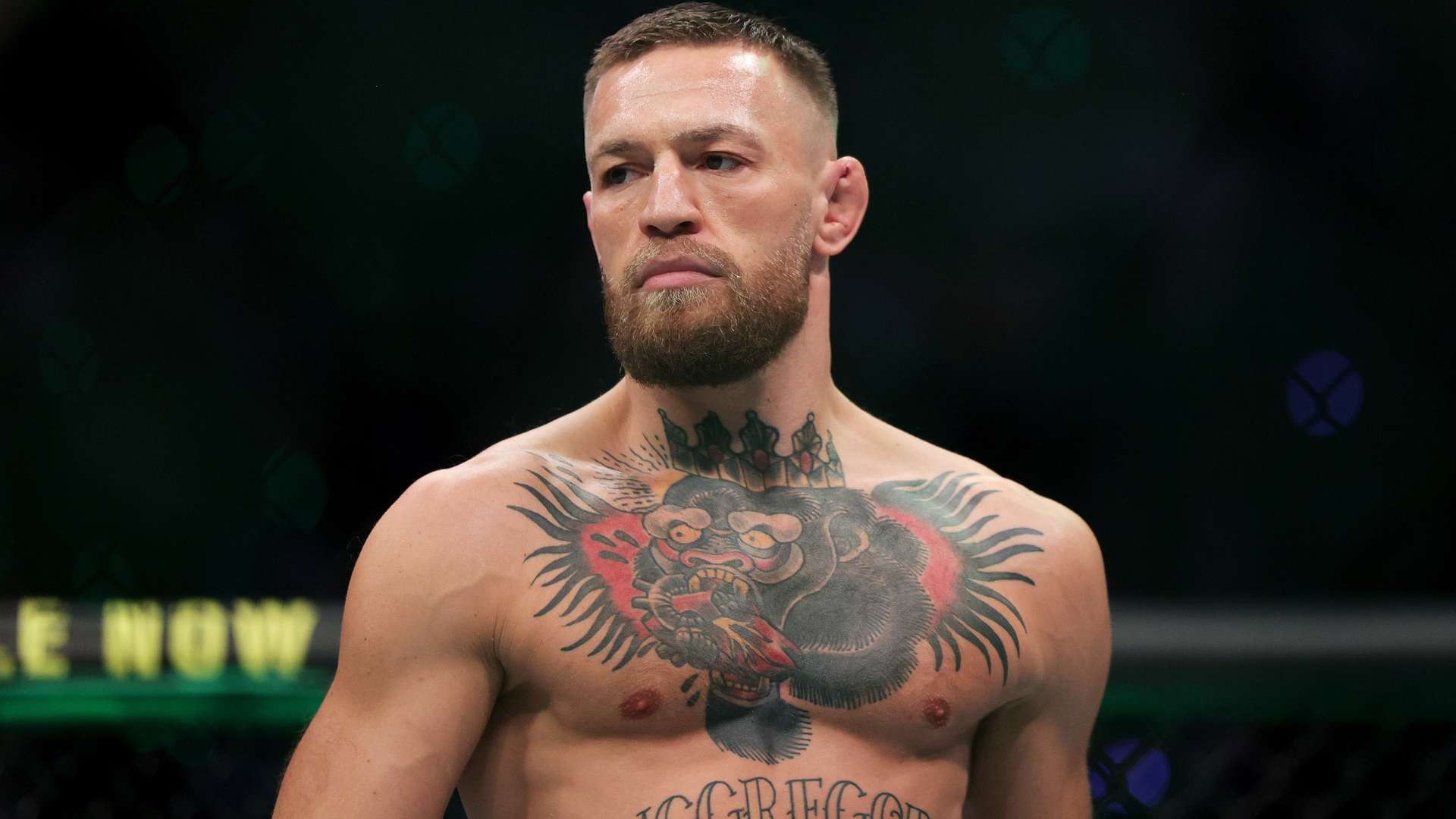 处于爆发的 处于爆发的